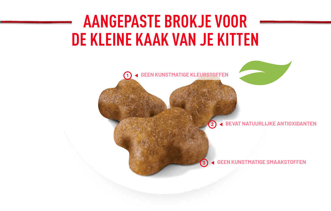 Royal Canin kitten brokjes